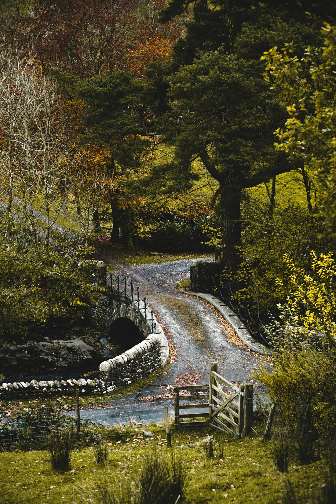 Natural British scene with trees in different shades
