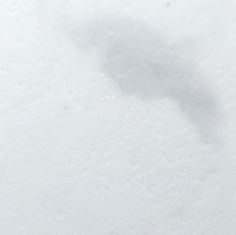 Tuscan Marble